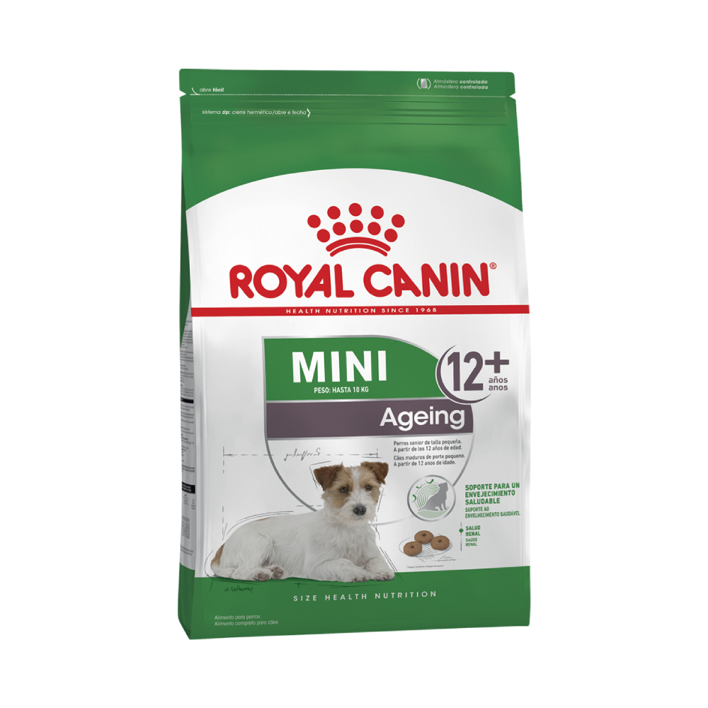 royal mini 12+