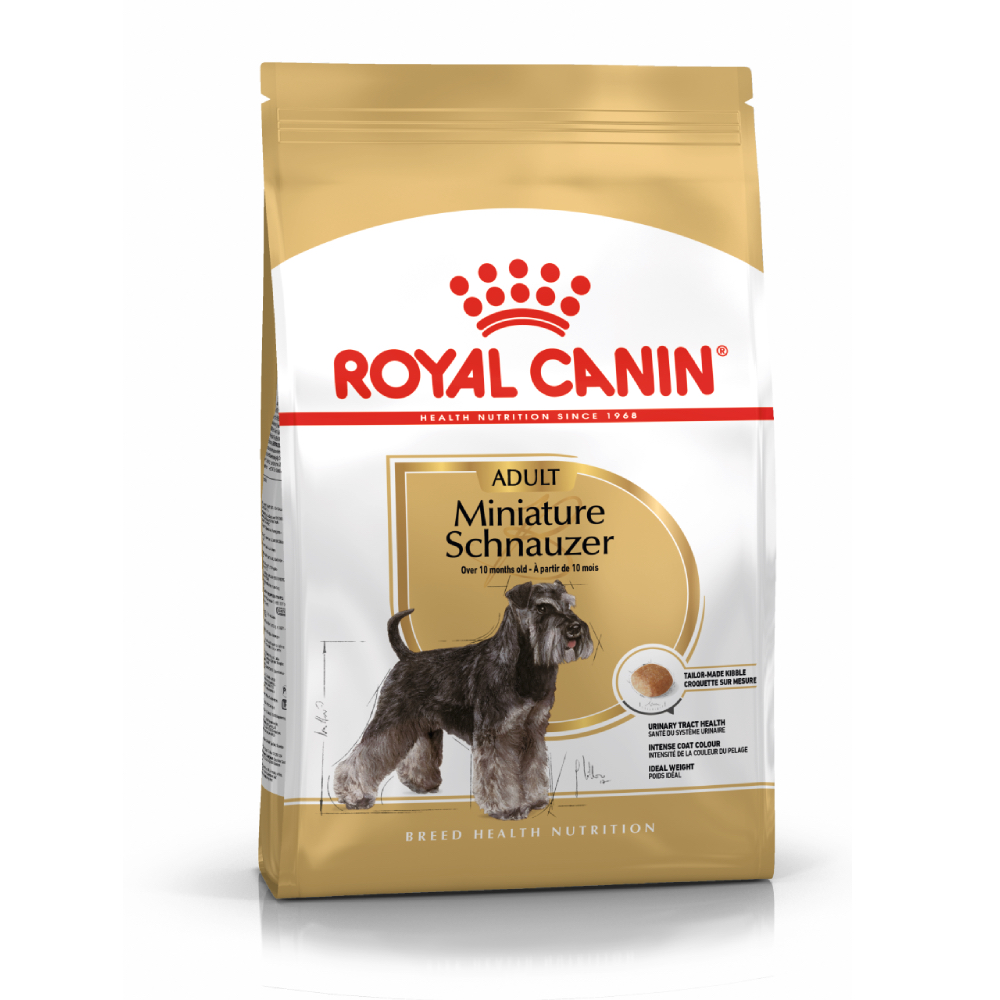 schnauzer miniatura