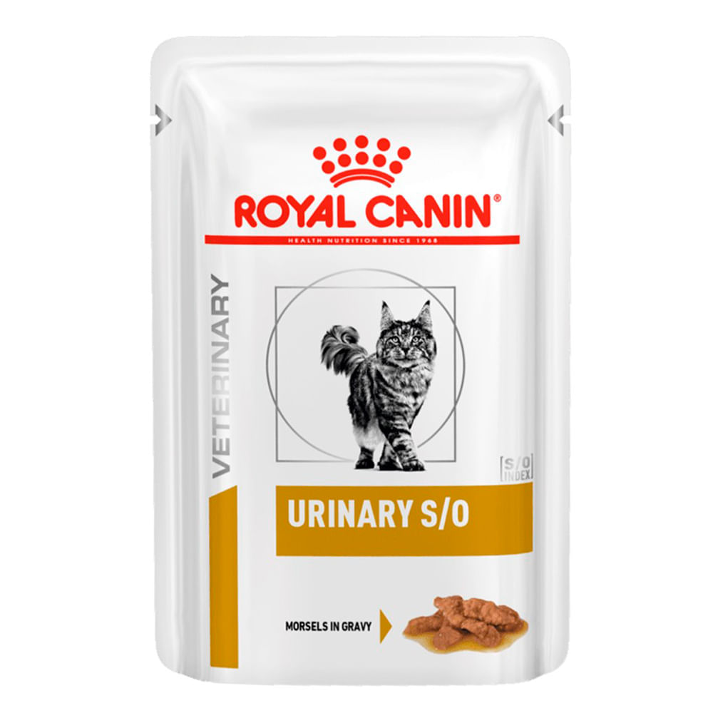 urinary s/o pouch gato