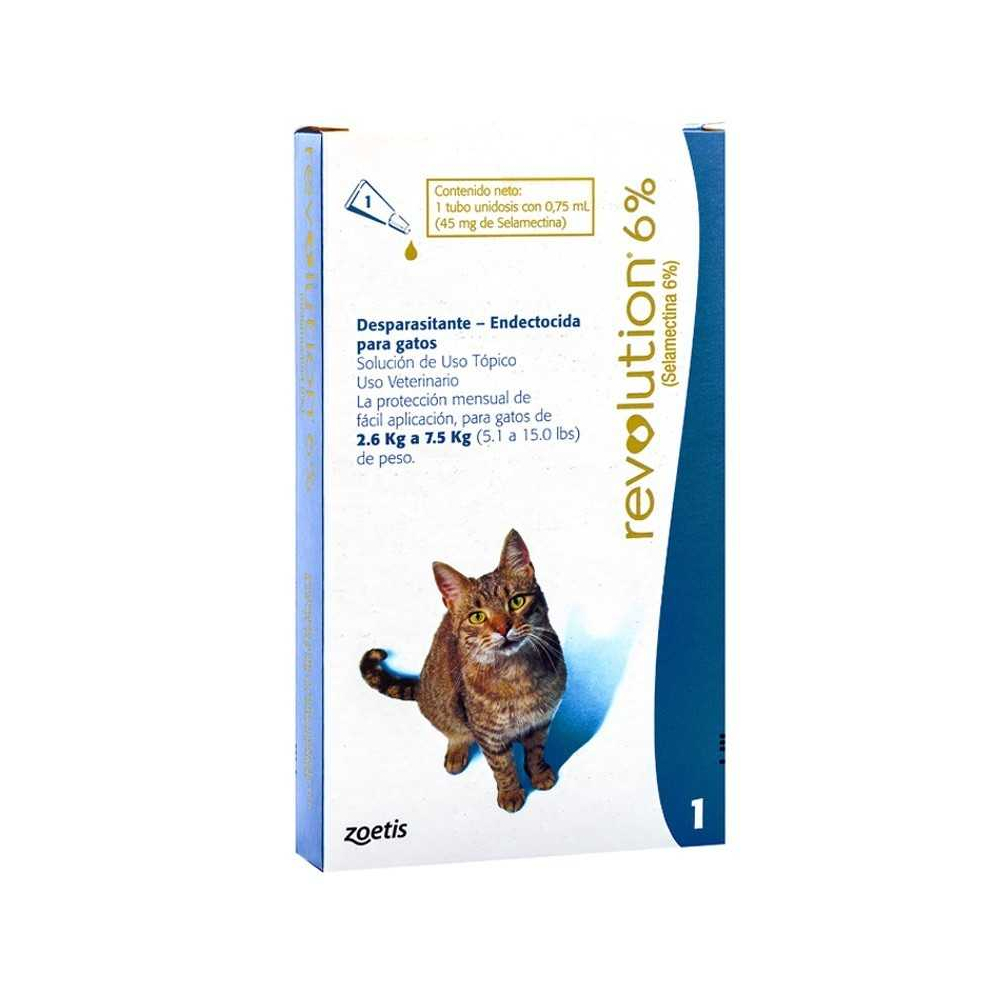 revolution gato