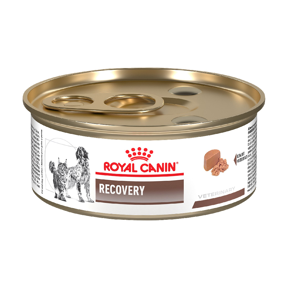 royal canin recovery ROYAL CANIN RECOVERY - Imagen 1