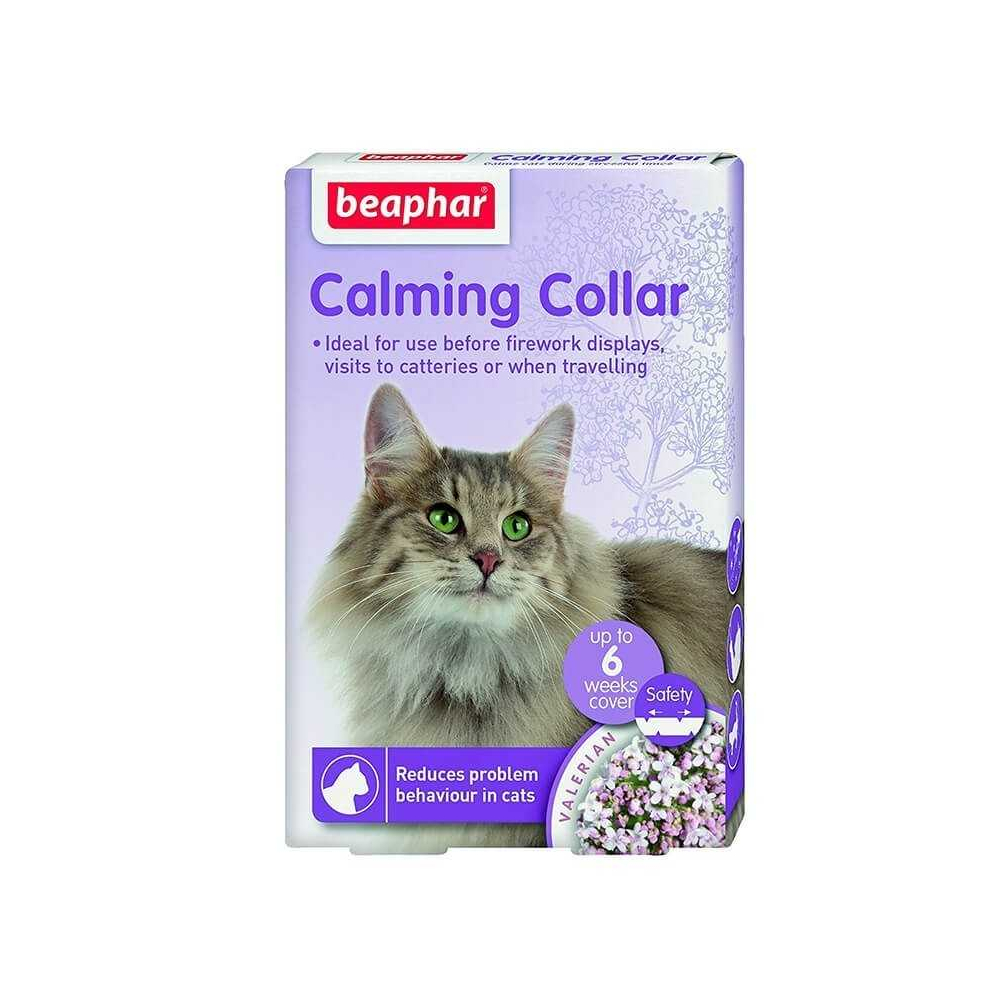 calming collar gato