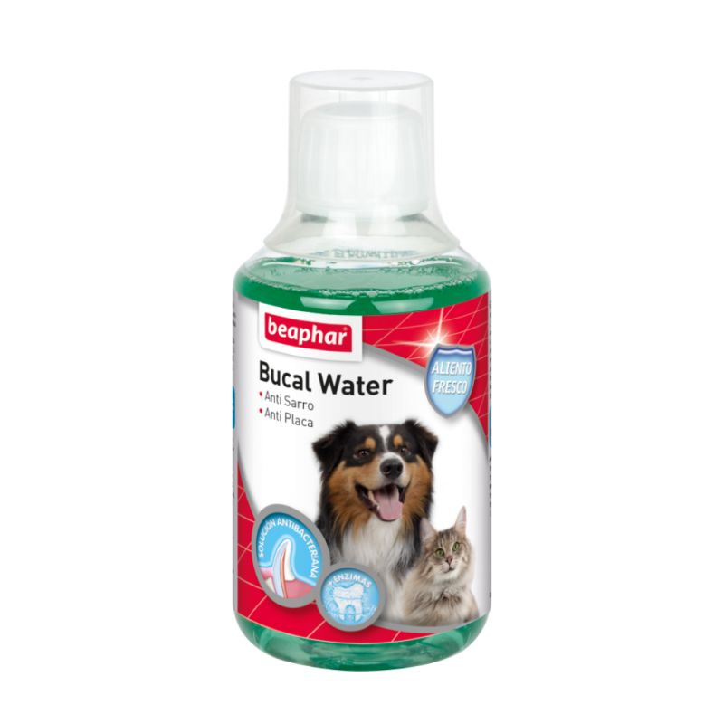 500521-ENJUAGUE-BUCAL-PyG-250ML-BEAPHAR-3-800x800