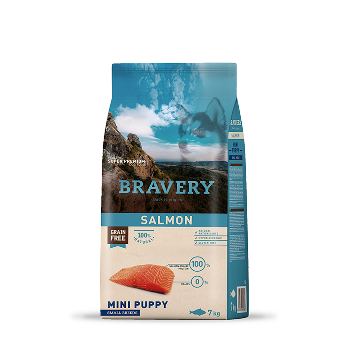 salmon mini puppy