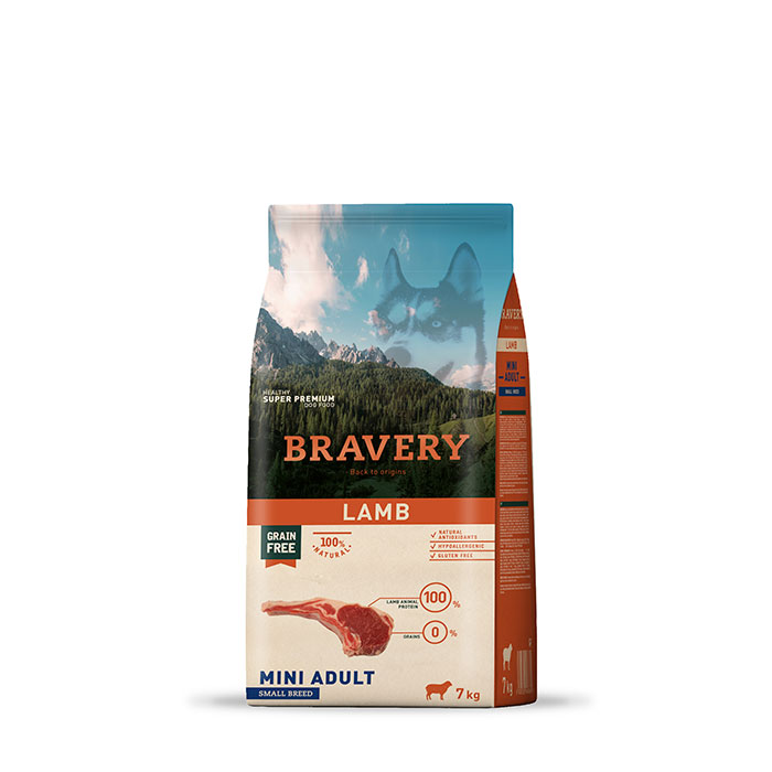 bravery lamb mini adulto
