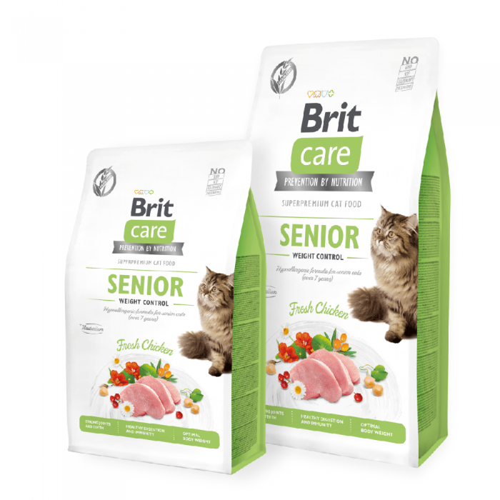 brit_cat_senior_1