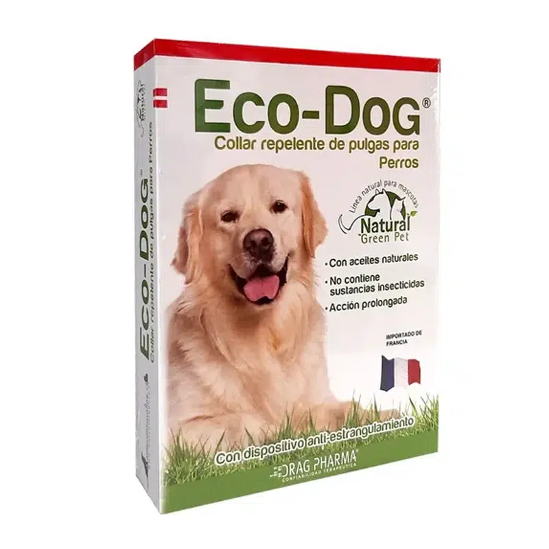collar eco dog