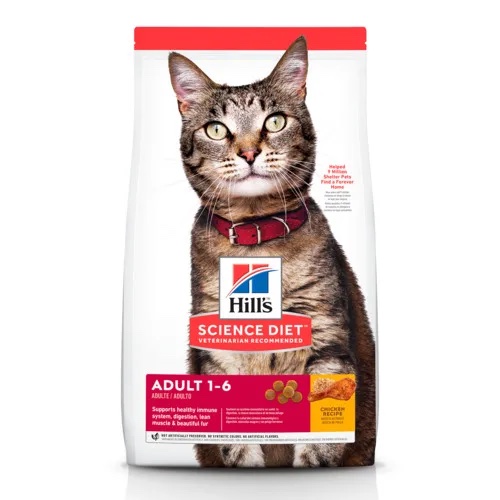 hills cat adult
