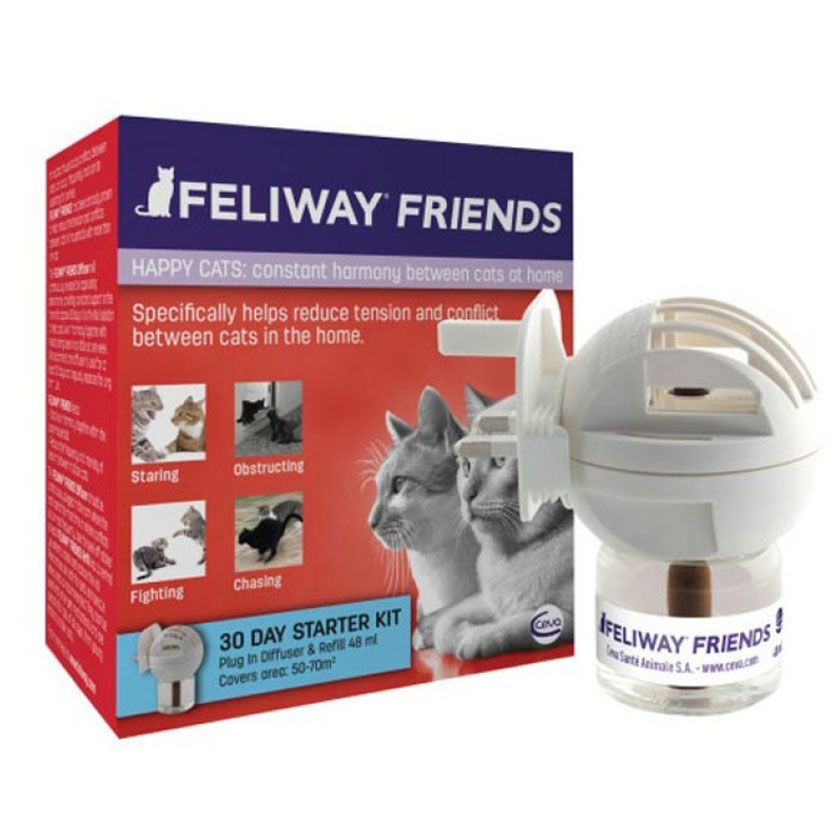 feliwat friends difusor