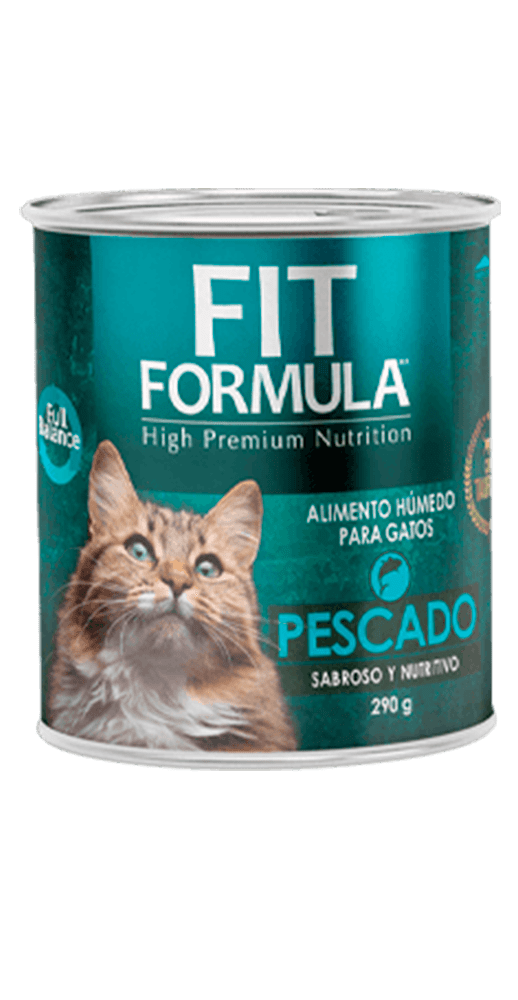 humedo_gato_pescado-min
