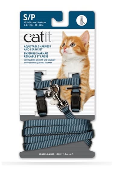 ARNES CELESTE CATIT
