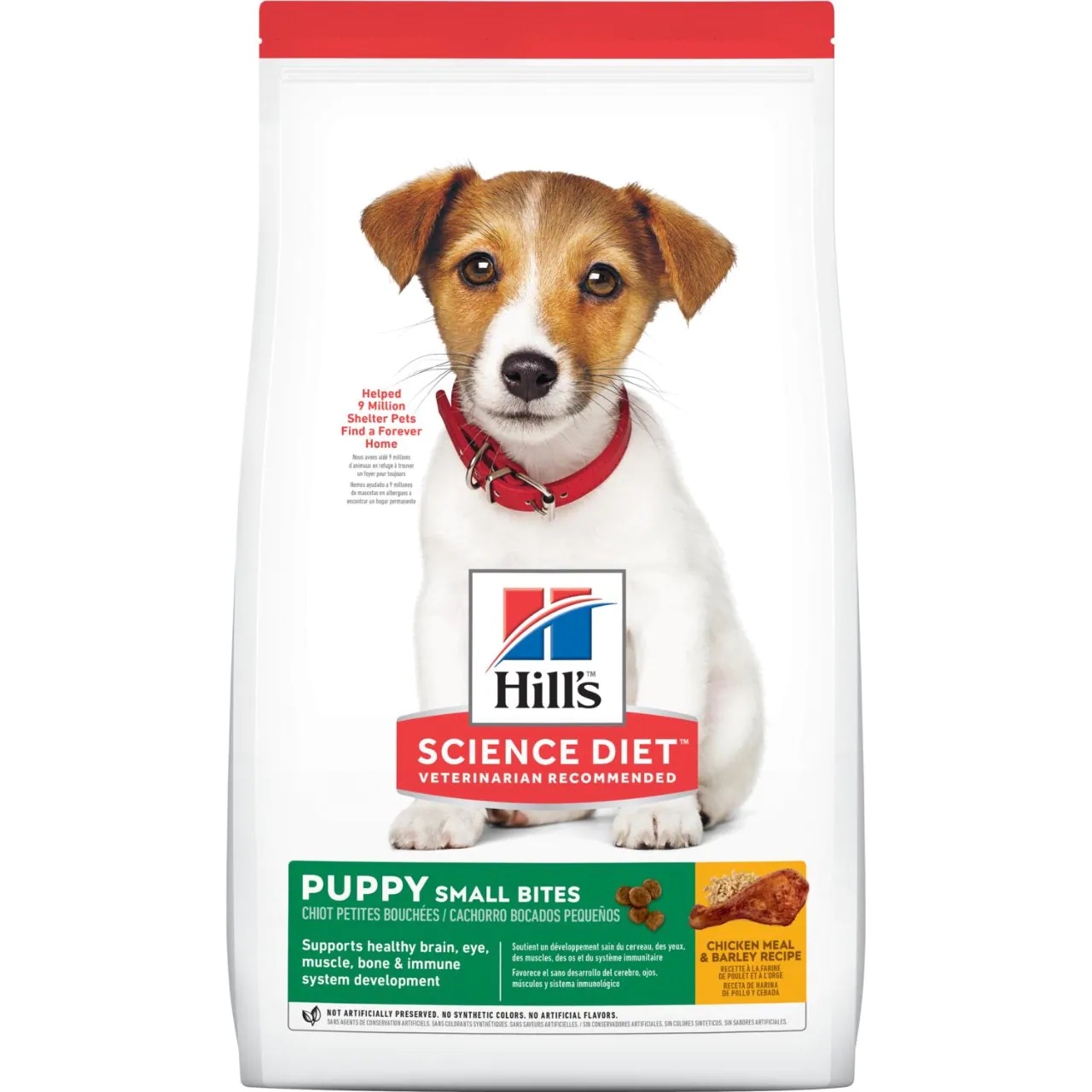 hills puppy sb