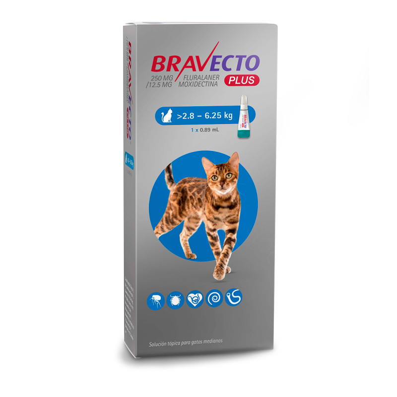 bravecto-plus-felino-28-a-625-kg