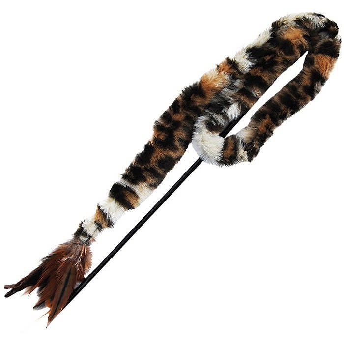 large-kong-cat-swizzle-bird0241