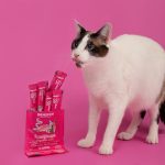 SuniChups  Digestive Care - Imagen 2