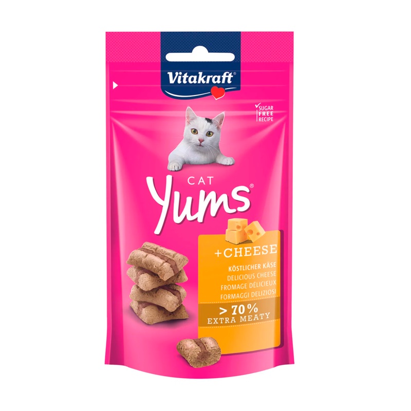 YUMS-QUESO