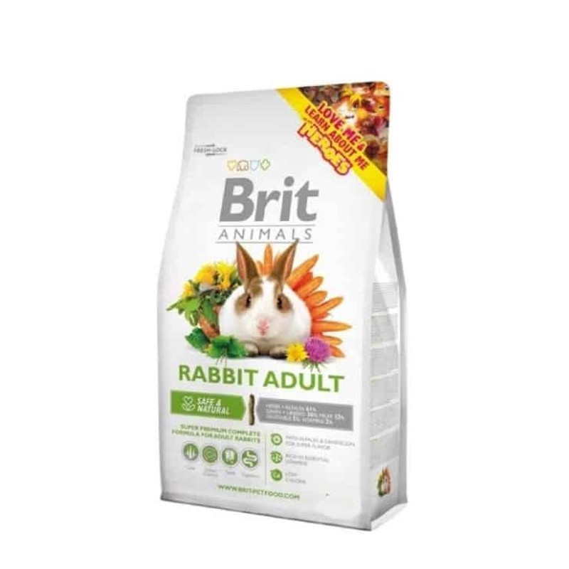 brit-animals-rabbit-adult