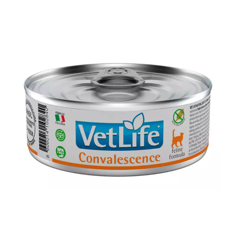 vet-life-feline-convalescence-humedo