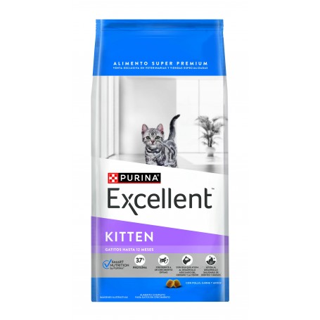 Excellent-kitten-1-kg