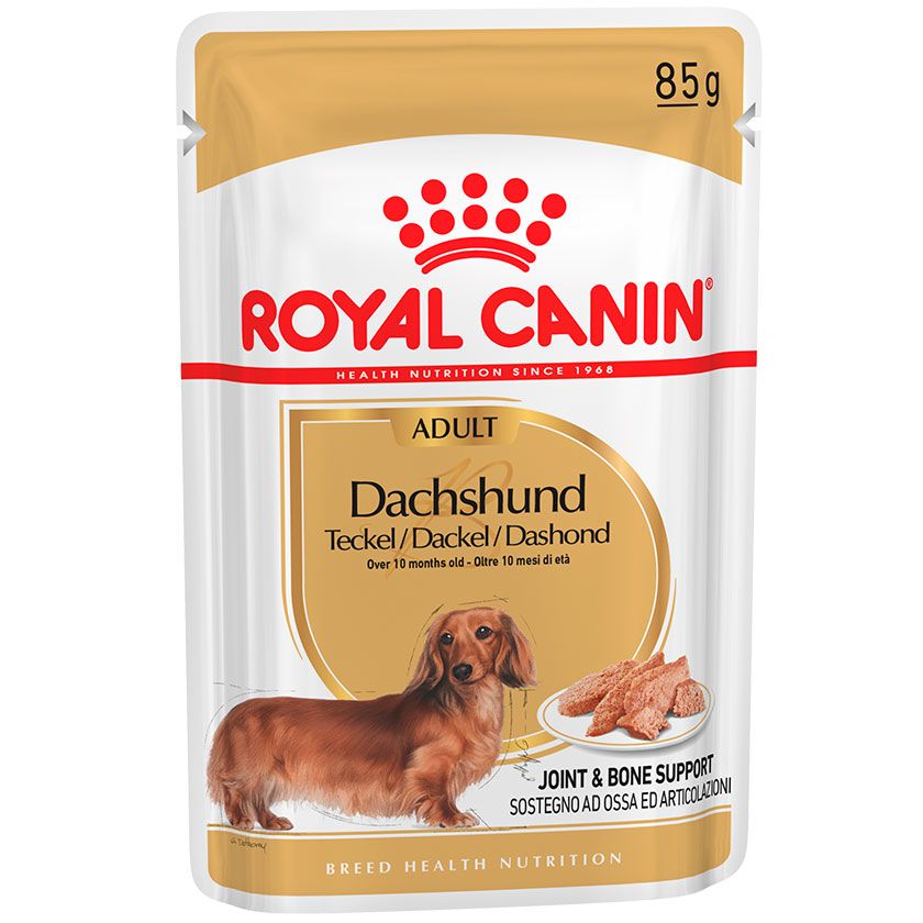 royal-canin-dachshund-pouch8693
