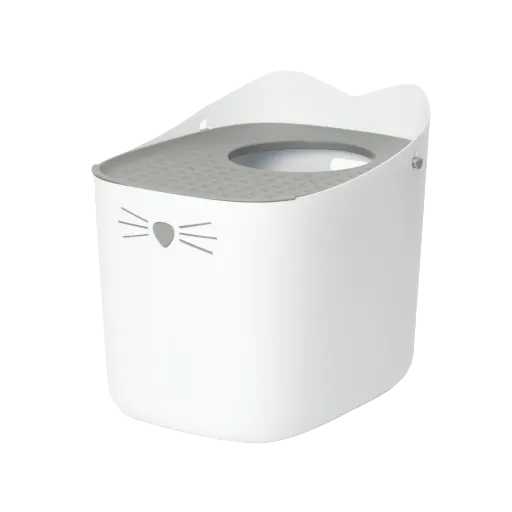 dsvigkyq7fwyfjwcqybf-660408393981a-g-Photoroom-png-Photoroom-660bc3a795ee4_g