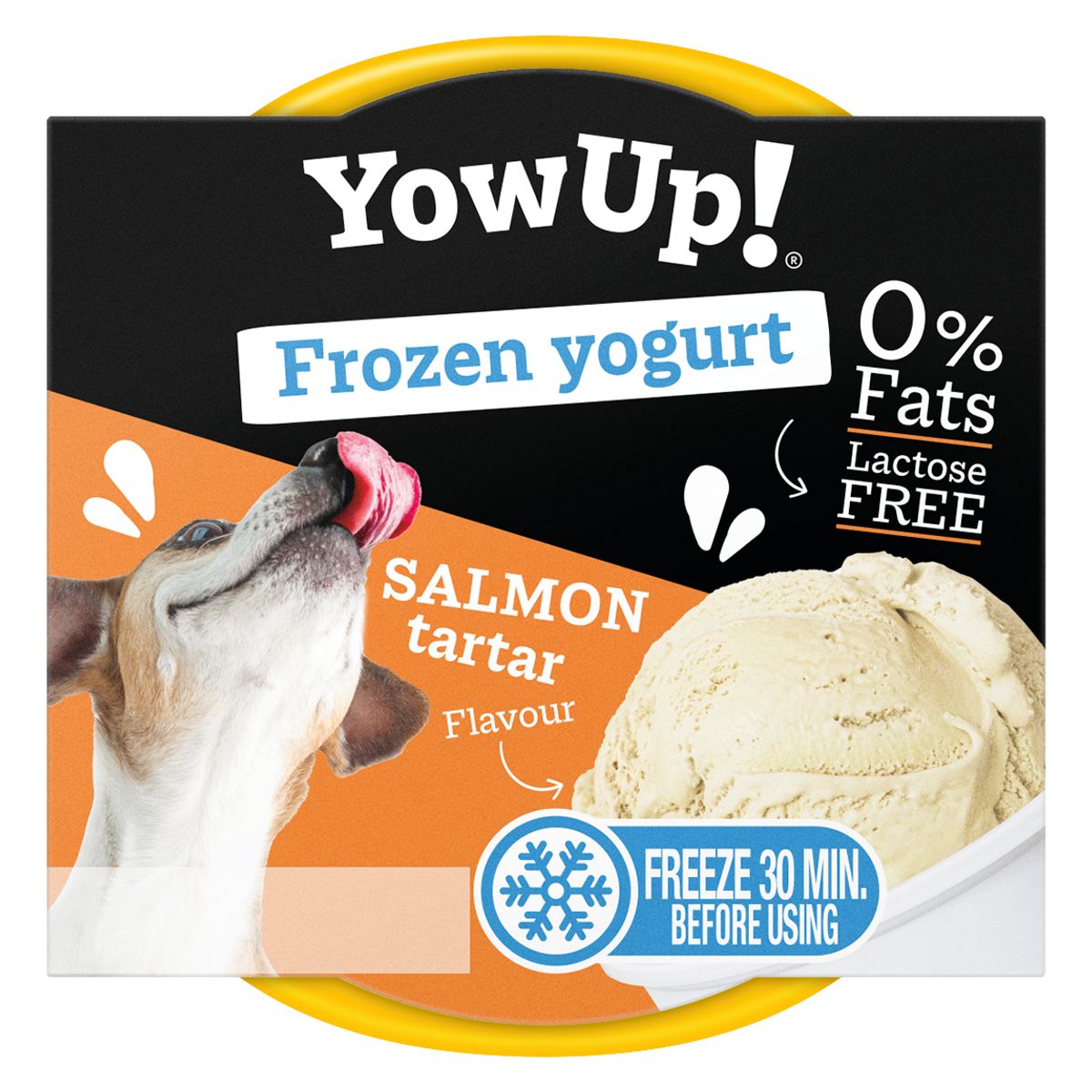165340-1200-1200 YOW UP FROZEN YOGURTH SALMON TARTAR 110 G - Imagen 1