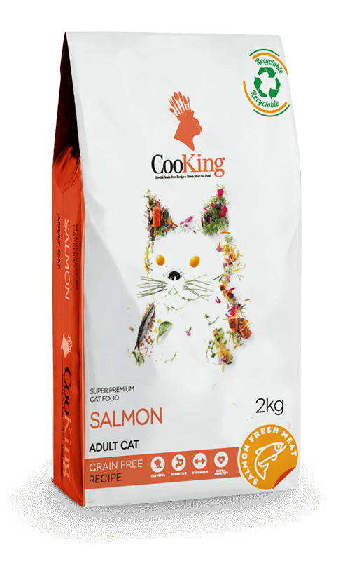salmon-cat-new