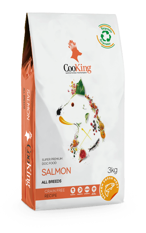 dog-salmon-allbreeds COOKING DOG SALMÓN - Imagen 1