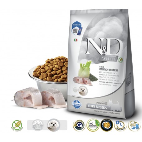nd-white-perro-adt-peq-2k